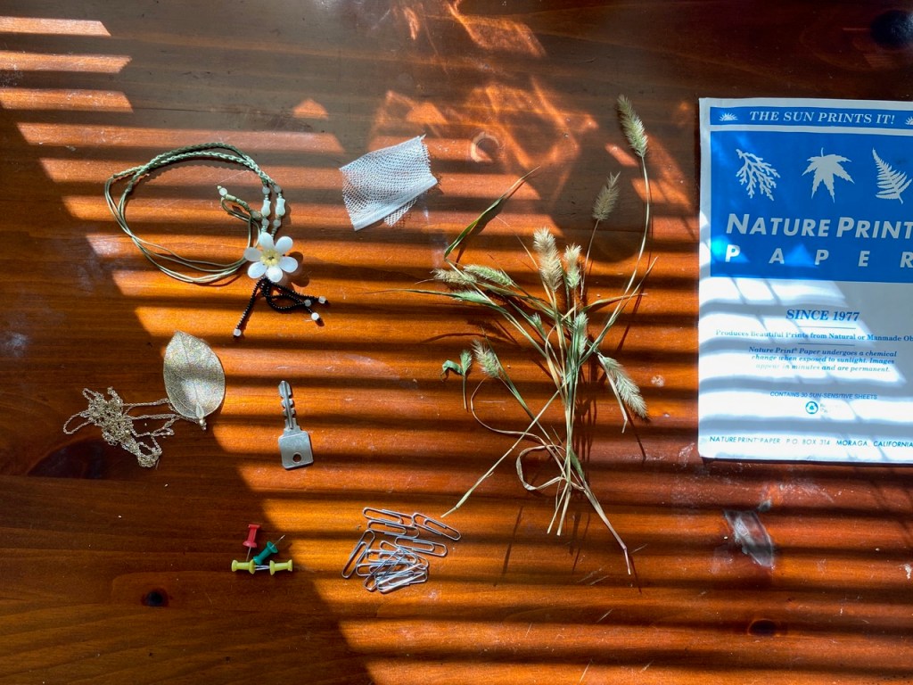 Marissa assembling objects for her cyanotype